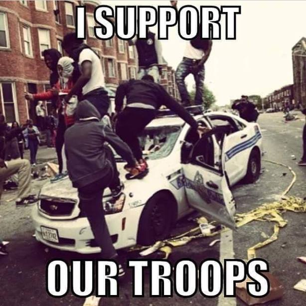 11209710_479457262202857_4187296884914580111_n